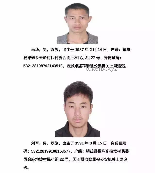 P2如果全球联合举办通缉逃犯的节目，而你作为一个真正的逃犯被选中：一场现实与虚构交织的逃亡盛宴